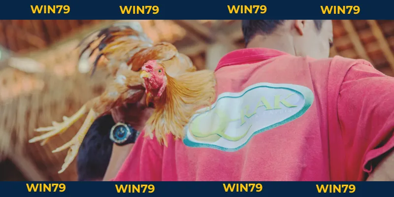 Vảy Gà Huyền Trâm